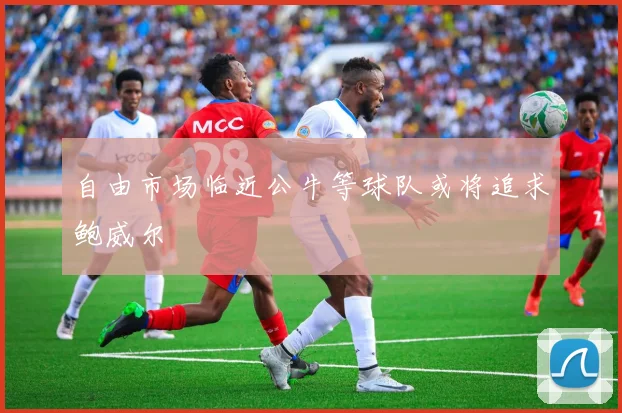 自由市场临近公牛等球队或将追求鲍威尔