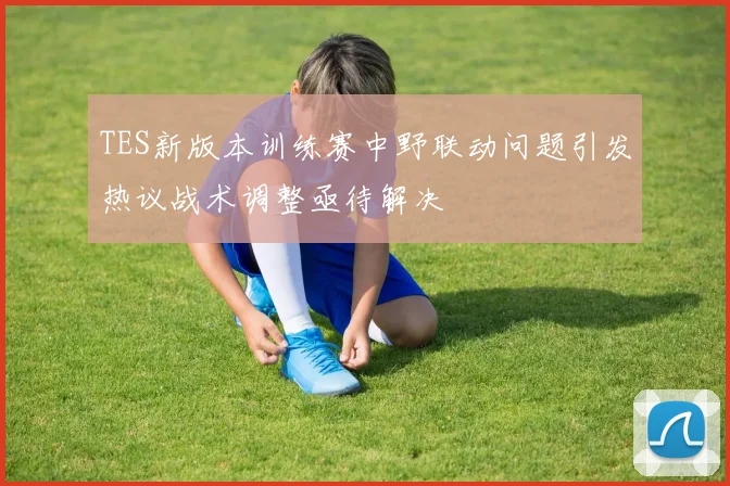 TES新版本训练赛中野联动问题引发热议战术调整亟待解决